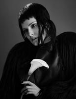 Omelya Atelier