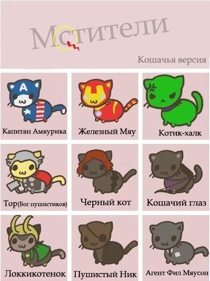 Котомстители. Прикольная картинка