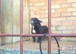 Open the fing door! Да откройте же эту чертову дверь!)