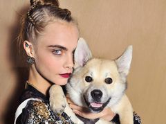 Кара Делевинь сменила прическу