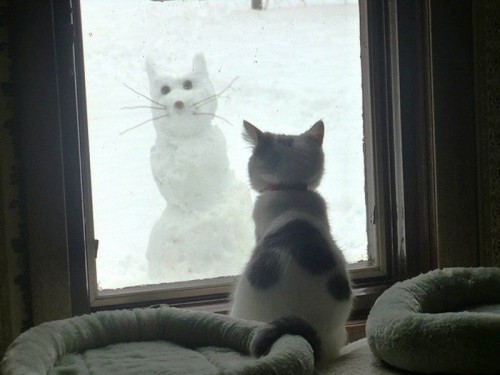 Снеговики и Ко