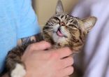 HOW TO HOLD A BUB