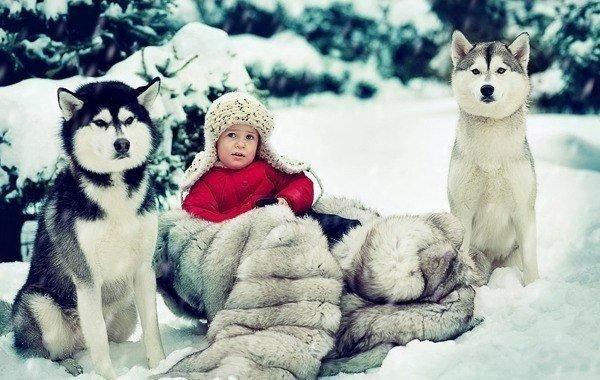 "Волшебная зима" от Елены Корнеевой