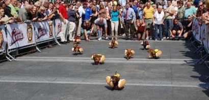 мы любим ПИВО))