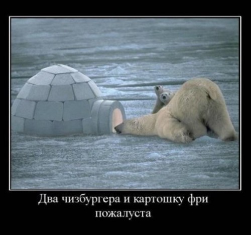ржака))))))))