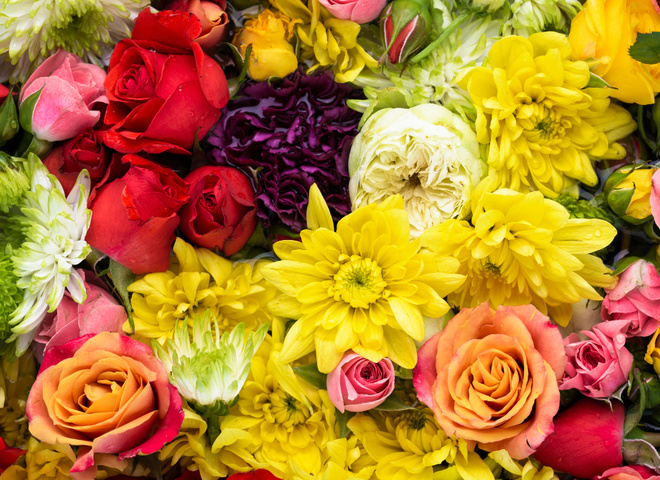 Яка квітка і число приносять вам енергію та рівновагу відповідно до вашого знаку зодіаку