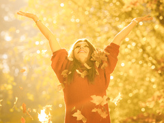 Вихідні дні в листопаді 2019