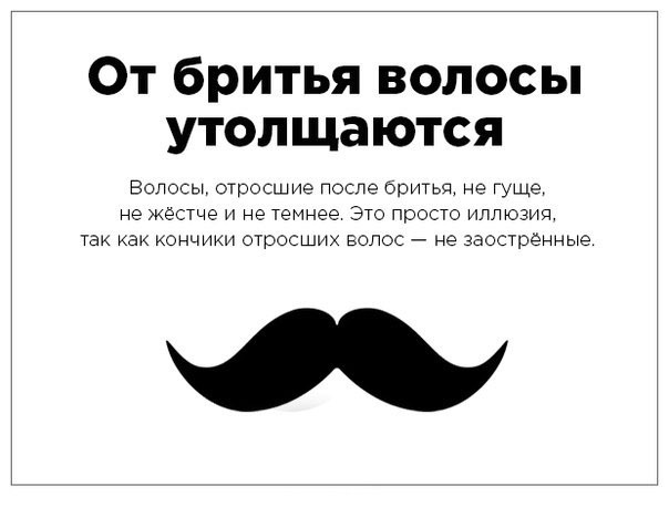 Разрушители мифов