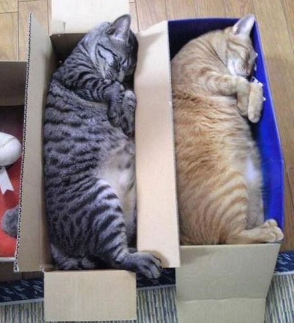 Синхронность зашкаливает