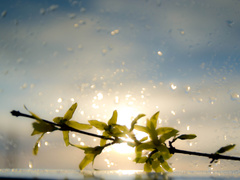 Что можно и нельзя делать на Василия Теплого, кто отмечает День ангела 4 апреля