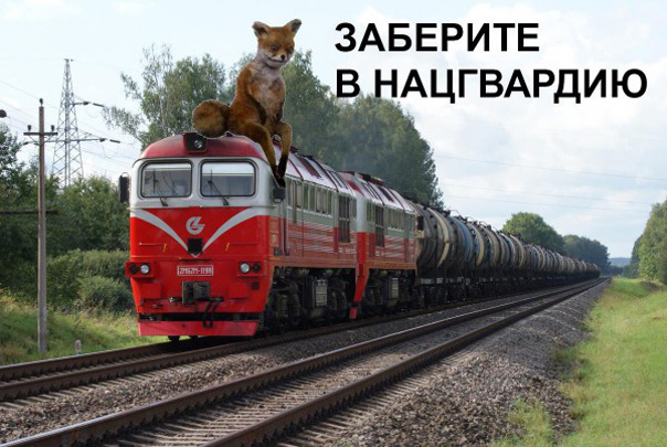 Новый Интернет-мем "Заберите в Нацгвардию"