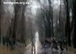 хулиганы