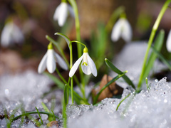 Какой праздник отмечают 19 апреля