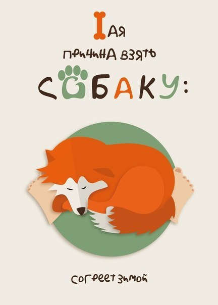 7 причин завести собаку!