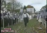 весілля