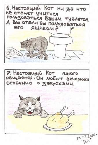 Прикольные комиксы про котов