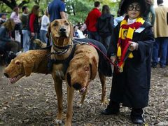 Костюмы на Хэллоуин 2014 своими руками