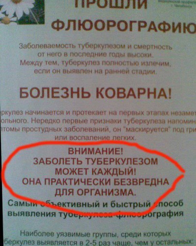 Юморные фотоприколы