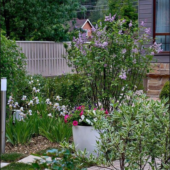 Нюша (instagram)