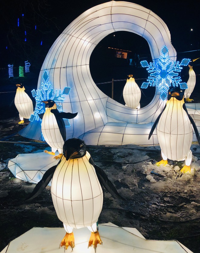 Фестиваль китайских фонарей 2019: киевлян приглашают установить рекорд на самое массовое селфи