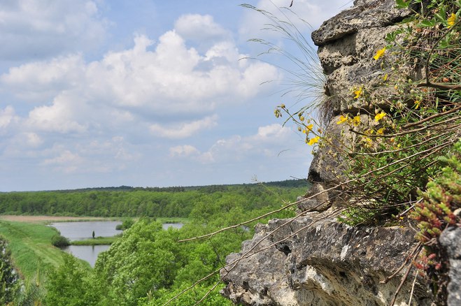 Львівська область