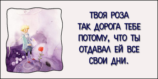 Маленький принц - 10 лучших цитат 