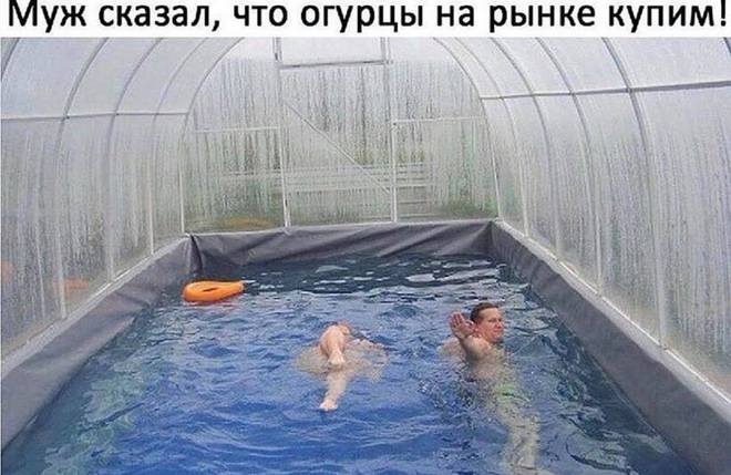 Теплица и бассейн