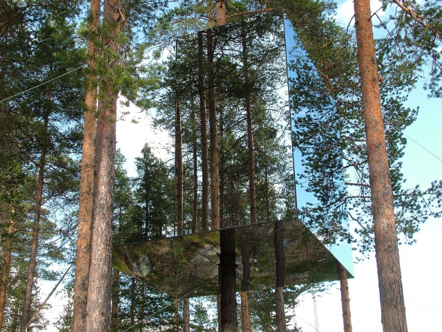 готель на дереві