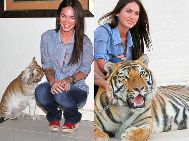 Меган Фокс, Брайан Остин Грин