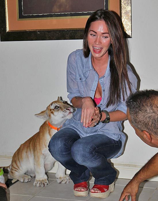 Меган Фокс, Брайан Остин Грин