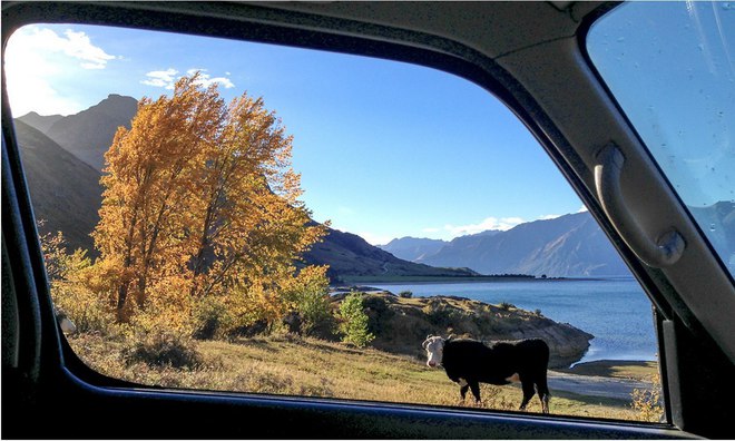 Удивительные пейзажи Новой Зеландии из окна фургона