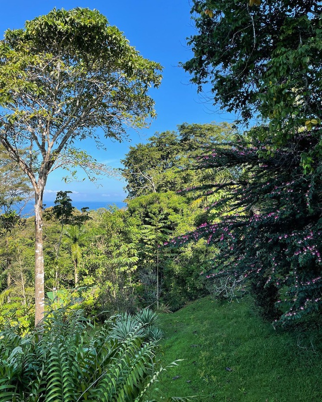 Алан Бадоев в диких джунглях Коста-Рики