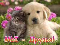Мы - друзья!
