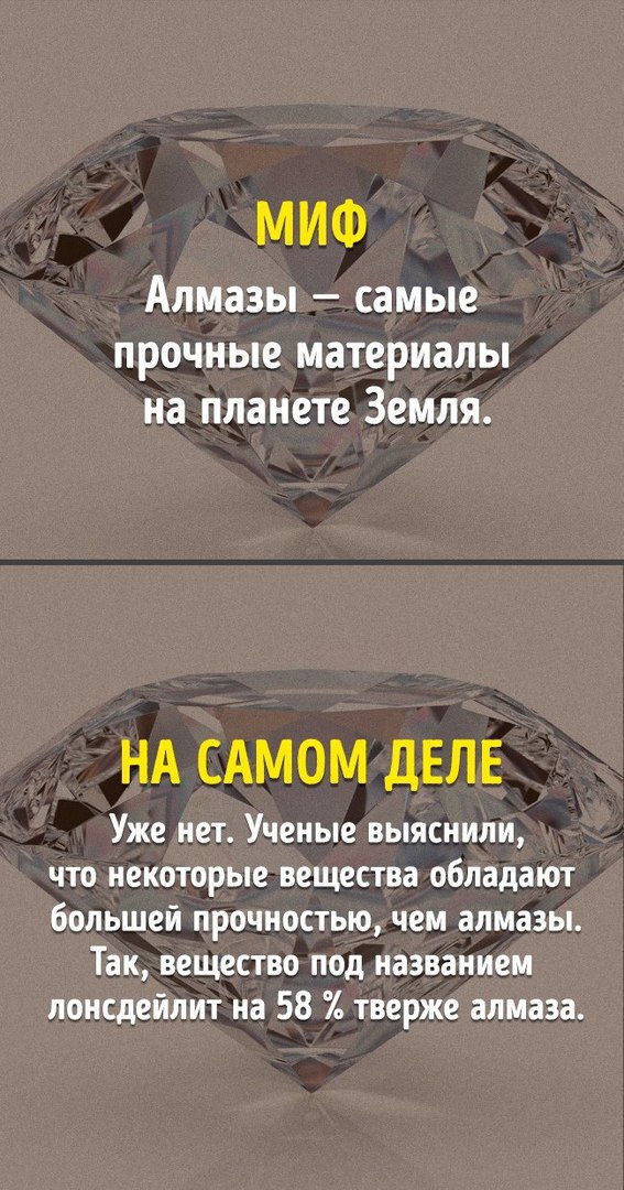 Правда и миф из школьной программы