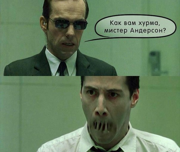 Прикол про хурму и "Матрицу"