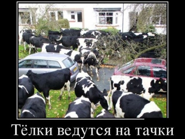 Жестко, приколы телок фото