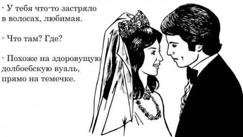 Прикольные картинки