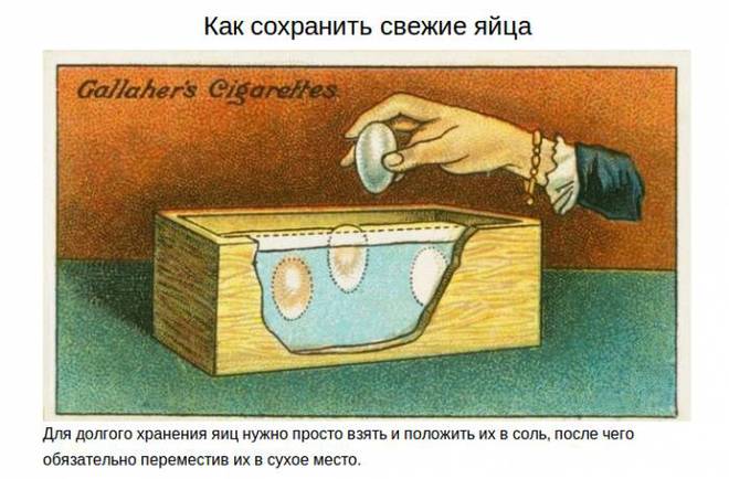 Советы на все случаи жизни