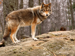 Что можно и нельзя делать в Александров день, кто отмечает День ангела 28 марта