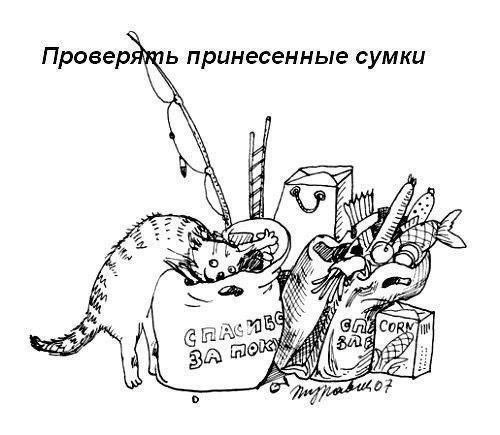 Что обожают делать коты