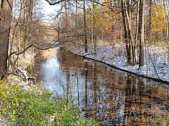 Что можно и нельзя делать в день Алексия Теплого, кто отмечает День ангела 30 марта