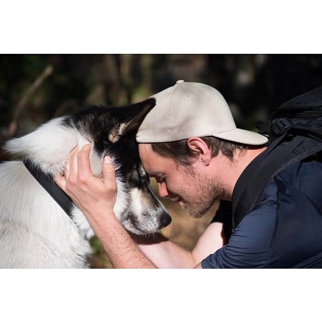 хаскі Акіак 