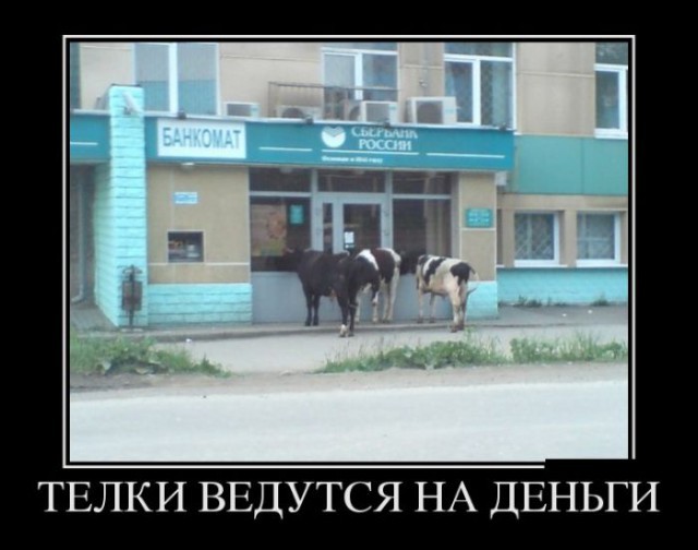 Свежие демотиваторы с надписями