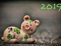 Свинка на 2019 год