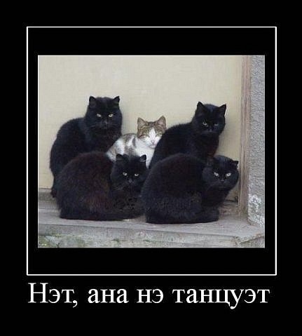 Настоящие джигиты
