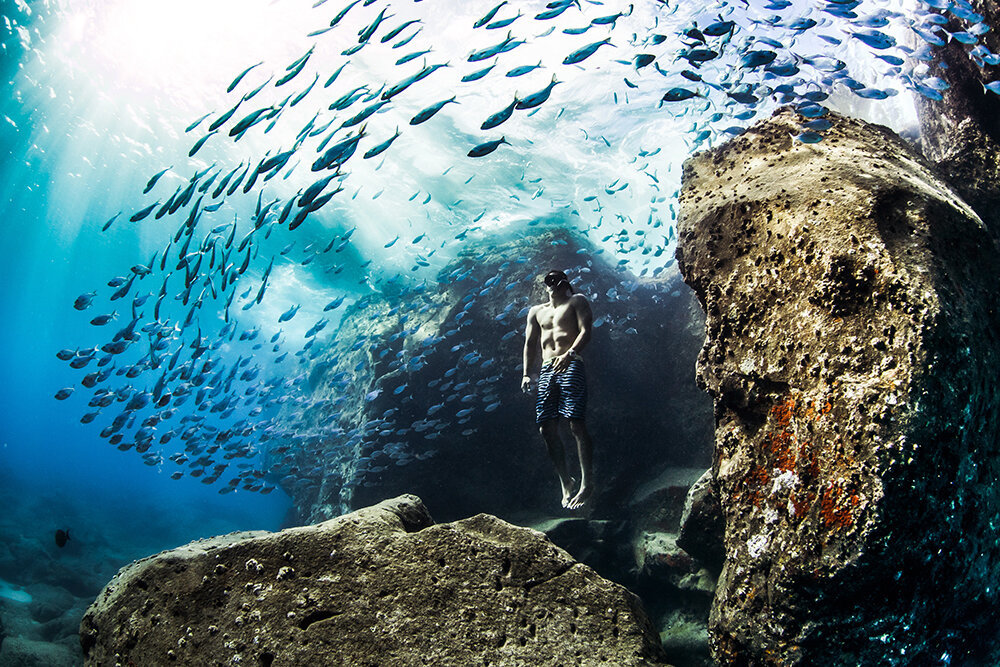 World Nature Photography Awards 2020