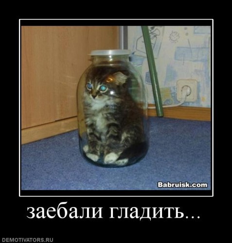 да запрарили ужо!