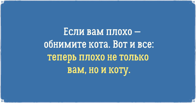 ТОП 10 приколов про котов