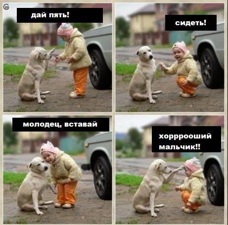 Супер фотоприколы