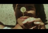 Henry Krinkle - Stay